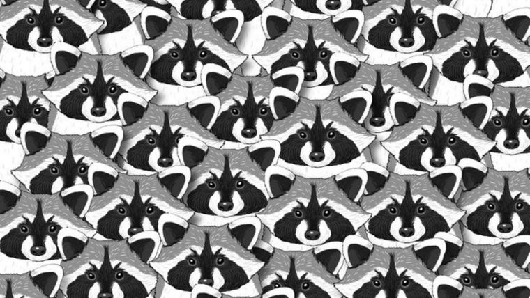 ACERTIJO VISUAL ACERTIJO VISUAL, RETO VISUAL, PANDA Foto: ARCHIVO