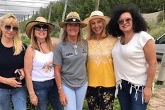 Claudia Fariña, Adriana Martínez, Claudia Yanzón, Lila Levinson y Susana Hemsy.