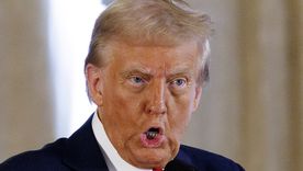 Donald Trump asegura que Estados Unidos está ganando la guerra. Foto: Dpa Donald Trump asegura que Estados Unidos está ganando la guerra. Foto: Dpa