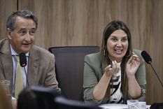 Silvia Lospennato es una de las autoras del proyecto. Foto: Noticias Argentinas Silvia Lospennato es una de las autoras del proyecto. Foto: Noticias Argentinas