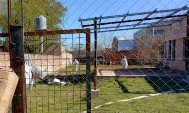 El aberrante hallazgo ocurrió en una casa ubicada en la calle Leandro N. Alem al 100. El aberrante hallazgo ocurrió en una casa ubicada en la calle Leandro N. Alem al 100.