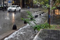 Foto: ALF PONCE MERCADO / MDZ Foto: ALF PONCE MERCADO / MDZ