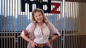 La actriz debió cancelar funciones. La actriz debió cancelar funciones.