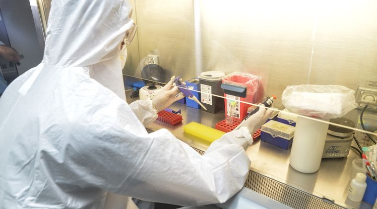 Foto: Gobierno de Mendoza