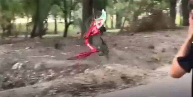 Momento en que los jóvenes arrojaron la bicicleta del sistema BiciTran en el Parque San Martín. Foto: Captura de video en redes sociales