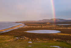 Foto: Rewilding Argentina