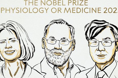 Los tres ganadores del Premio Nobel de Medicina 2025 anunciados por Suecia. Foto Asamblea Nobel Los tres ganadores del Premio Nobel de Medicina 2025 anunciados por Suecia. Foto Asamblea Nobel