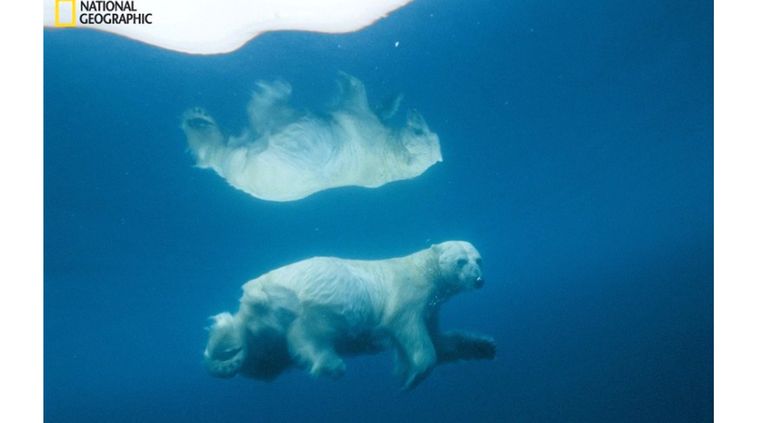 Foto: nationalgeographic.com