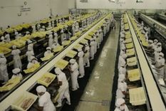 Una fábrica europea de alimentos en conserva: Alemania aconseja abastecerse. Foto Efe