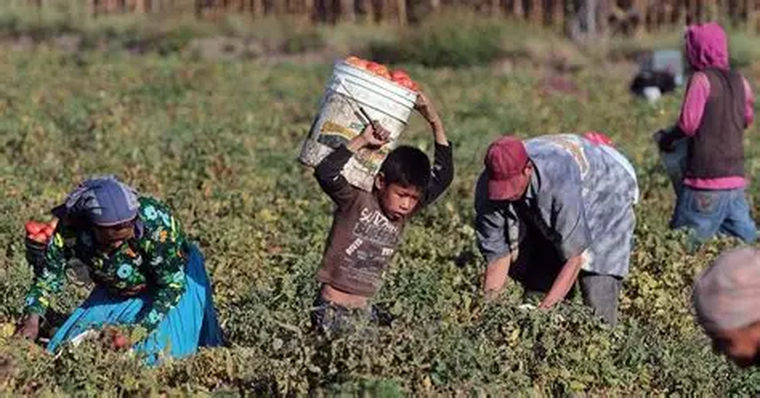 En 2024 había cerca de 138 millones de niñas, niños y adolescentes en situación de trabajo infantil.&nbsp;