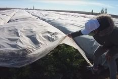 Cristina Vega es una de las pequeñas productoras rurales que ofrece sus productos en la plataforma de Agrojusto.