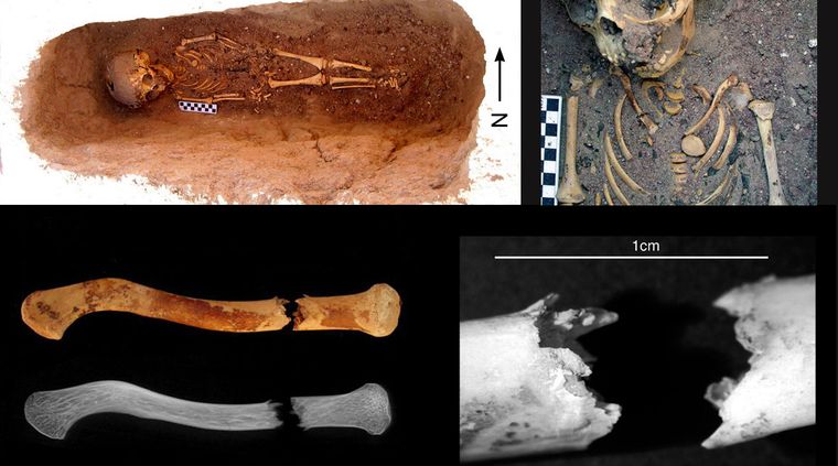 Foto: livescience.com