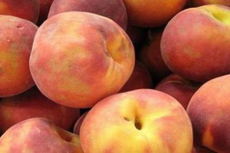 La fábrica de conservas La Colina deberá pagar una multa por irregularidades Foto: Flickr La fábrica de conservas La Colina deberá pagar una multa por irregularidades Foto: Flickr