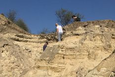 El hallazgo se produjo en Victoria, Entre Ríos y es el primer registro fósil de un pelícano para la Argentina Foto: Conicet