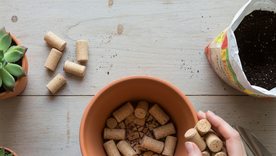 Un truco que pocos conocen. Fuente: IA Gemini. Un truco que pocos conocen. Fuente: IA Gemini.