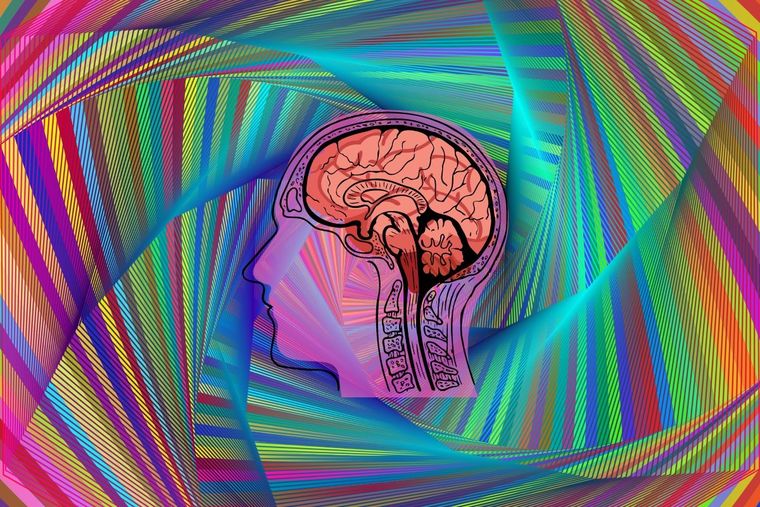 Solo el 10% de los usuarios encuentra los rostros en este test visual Test visual Foto: Canva