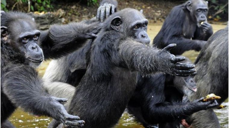 Foto: BBC Mundo