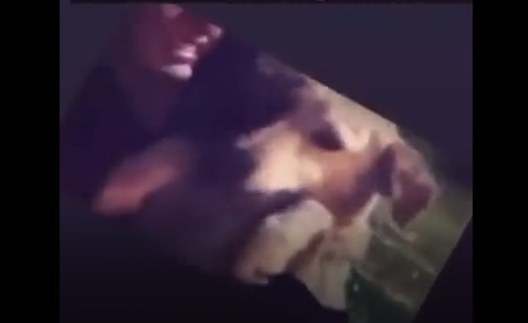 Las imágenes generaron el rechazo inmediato