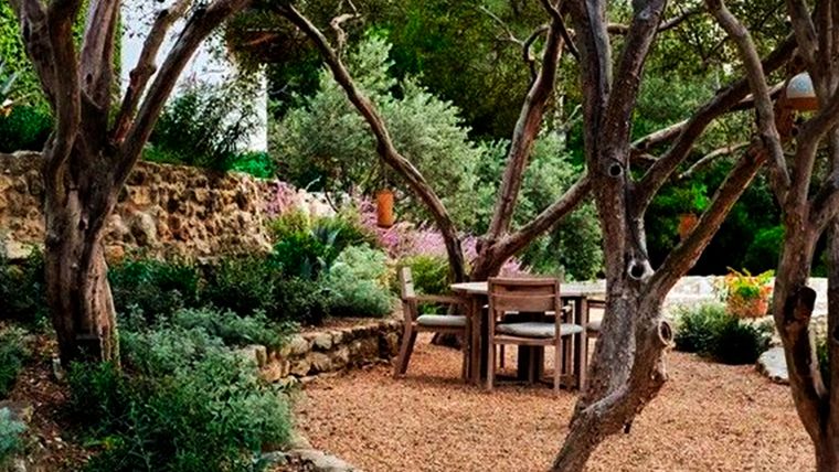 Las plantas alegran la vida. Foto: Pinterest