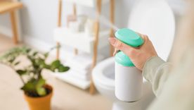 Un aromatizante casero a base de tres ingredientes. Foto: Shutterstock Un aromatizante casero a base de tres ingredientes. Foto: Shutterstock
