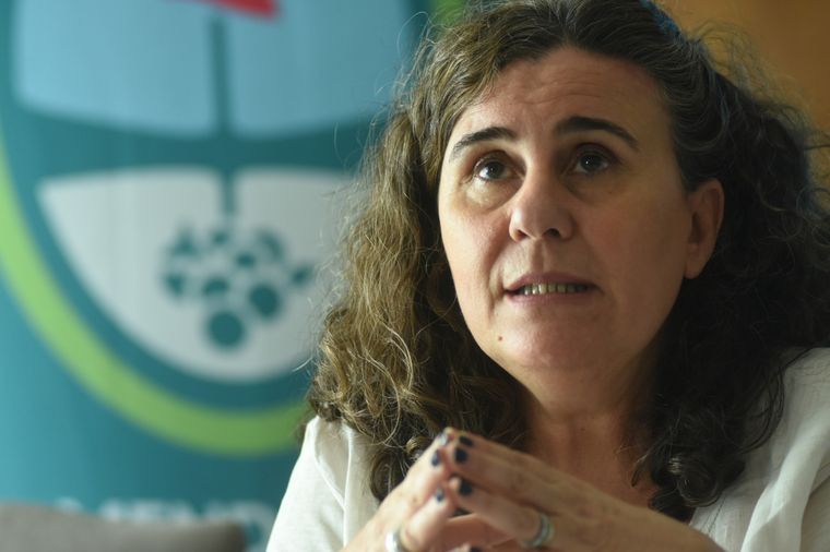 La ministra Nadal habló de la situación sanitaria de Mendoza Foto: Prensa Gobierno de Mendoza