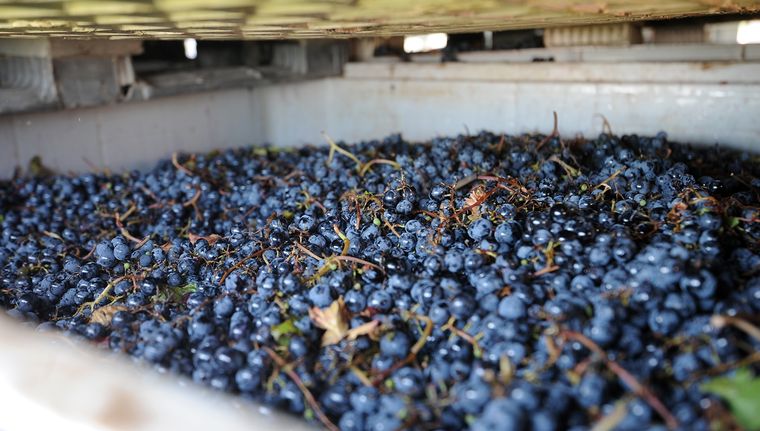 Foto: ALF PONCE MERCADO / MDZ