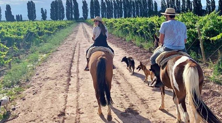 La Ruta del Vino en Mendoza es uno de los imperdibles Foto: Instagram