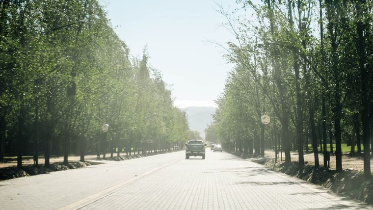 ¿Bajará al Gran Mendoza? Foto: Santiago Tagua/MDZ
