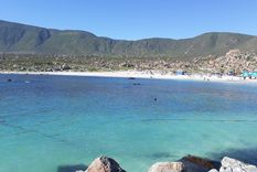 Totoralillo es una de las playas más lindas de Chile Foto: TripAdvisor