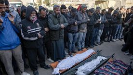 Israel comete genocidio en Gaza, para la ONU. Foto: Efe