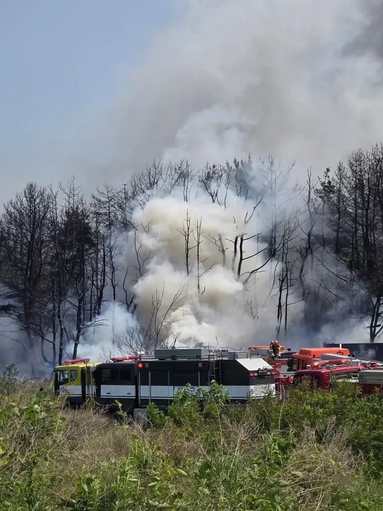 A bordo de la aeronave se encontraban cuatro tripulante A bordo de la aeronave se encontraban cuatro tripulante