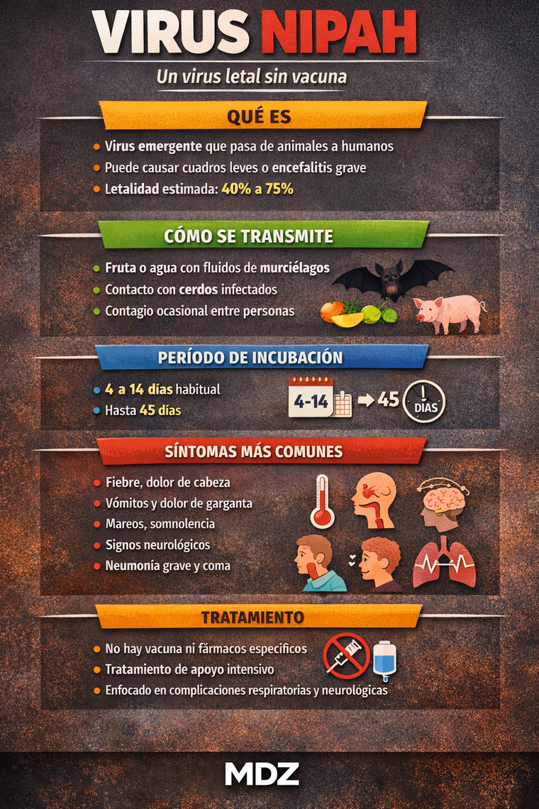 El virus nipah no tiene vacuna de momento.&nbsp;