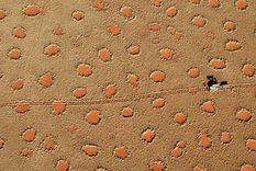 Foto: nationalgeographic.com