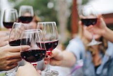 El Día del Amigo es una gran oportunidad para brindar con exquisitos vinos. Foto: pixabay