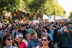 El gobierno tomó nota de la masiva movilización Foto: Santiago Tagua/MDZ