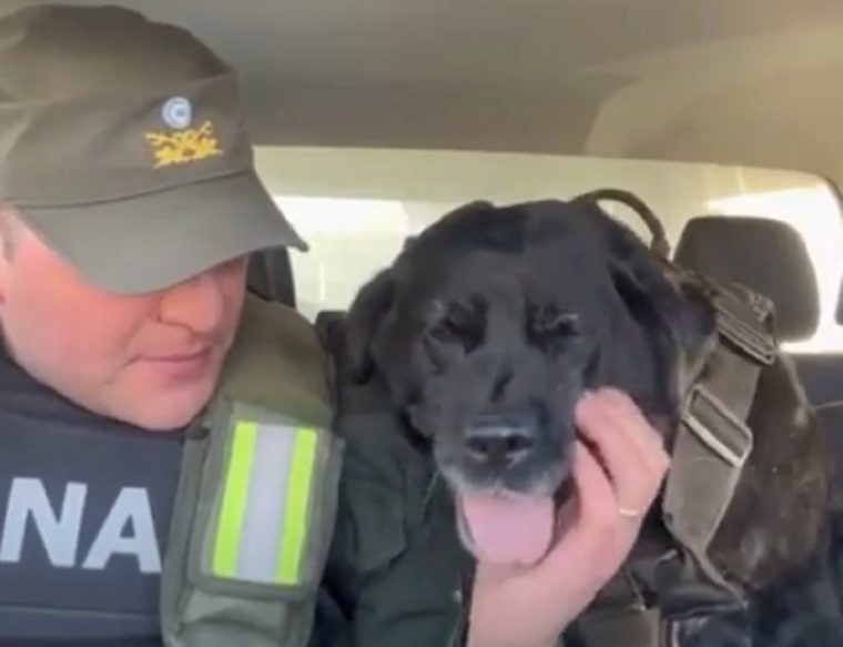 El emocionante video del retiro de Pequi Foto: Captura de video.