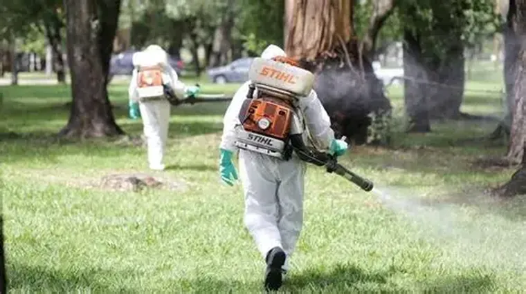 La fumigación es solo una parte de la estrategia. La fumigación es solo una parte de la estrategia.