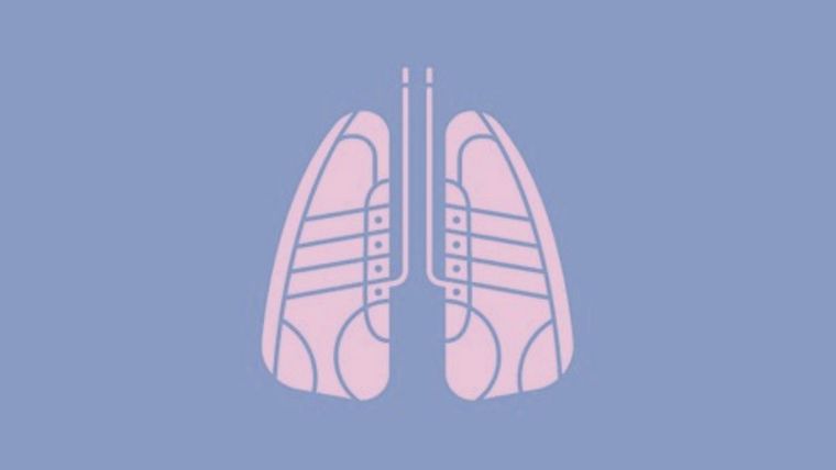 Test de personalidad Foto: Pinterest