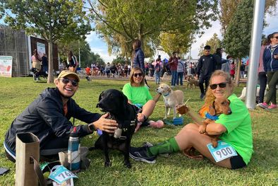 MDZol | No te pierdas la galería de fotos, al final de la nota. Foto: MDZ