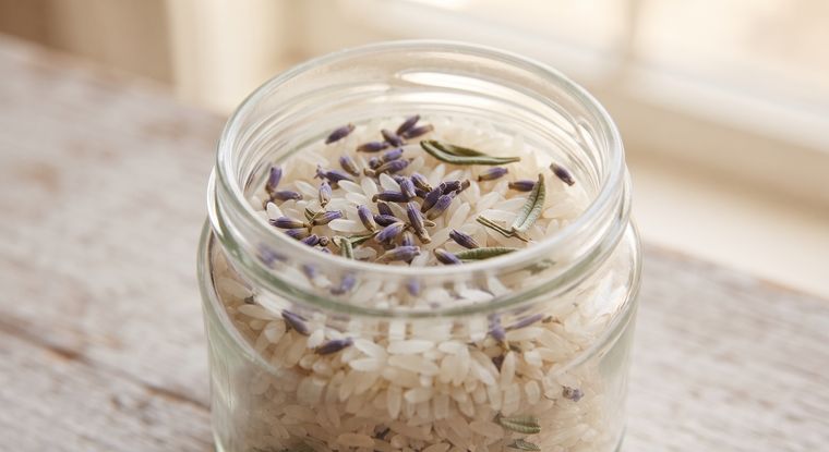 Mejor&aacute; el aroma de tus ambientes con ingredientes de casa. Foto: imagen generada con IA