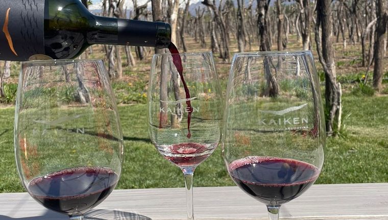 Foto: Noelia González