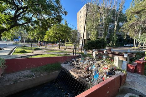 El agua sigue corriendo, pero la basura quedó retenida en la reja del zanjón y convirtió el espacio verde en un contenedor improvisado. El agua sigue corriendo, pero la basura quedó retenida en la reja del zanjón y convirtió el espacio verde en un contenedor improvisado.
