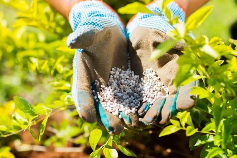 La urea, un insumo fundamental en la agroindustria, atraviesa mayormente el estrecho de Ormuz en su camino importador.