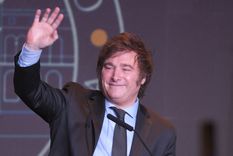 Milei obtuvo más de 14 millones de votos Foto: Télam Milei obtuvo más de 14 millones de votos Foto: Télam