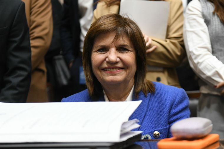Patricia Bullrich en Diputados