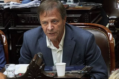 Oscar Zago volvió a exponer sus diferencias con Javier Milei. Foto: NA