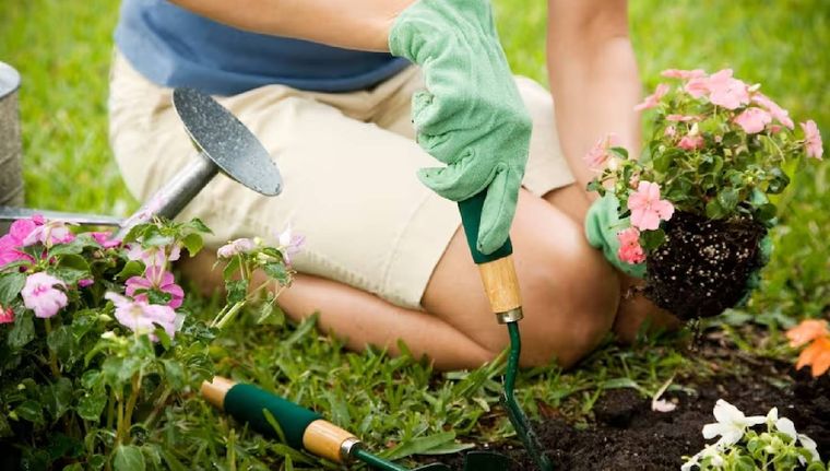 Cómo hacer que tu jardín brille todo el año (Shutterstock).