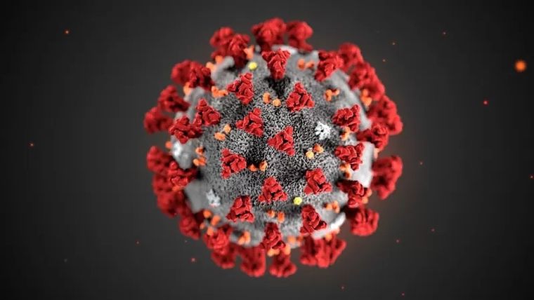 Los investigadores encontraron que estas nanoburbujas evACE2 existen en la sangre humana como una respuesta antiviral natural. Foto: SCIENCE PHOTO LIBRARY