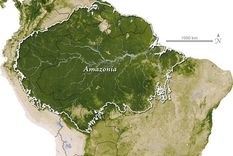 el origen de la lengua de una cultura aislada del mundo