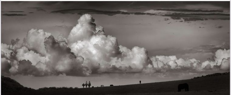 Eliseo Miciu, Eliseo Miciu,